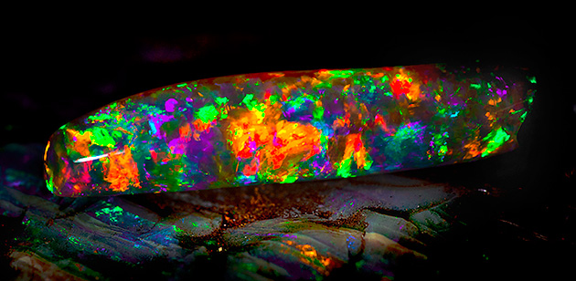 dazzling-fossilized-opal-beams-rainbow