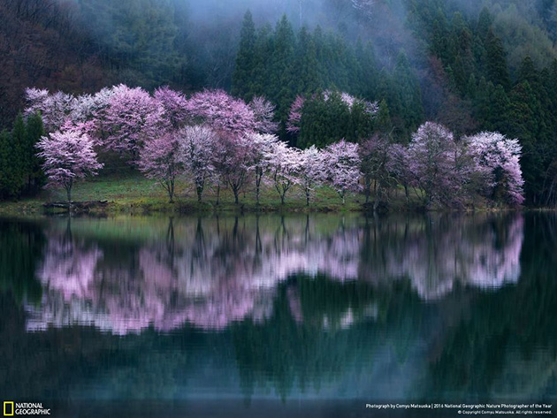 finalists-2016-national-geographic-nature-photographer-21