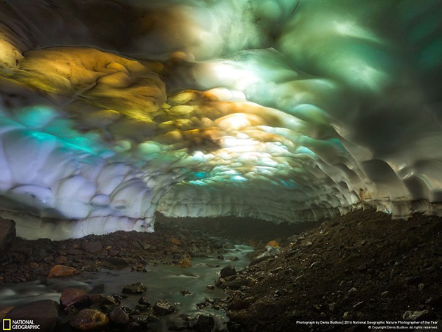 finalists-2016-national-geographic-nature-photographer-22