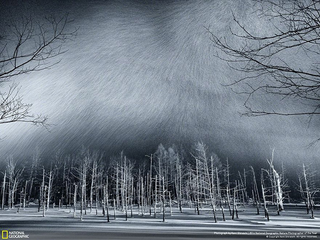 finalists-2016-national-geographic-nature-photographer-25
