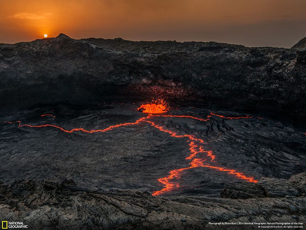 finalists-2016-national-geographic-nature-photographer-28