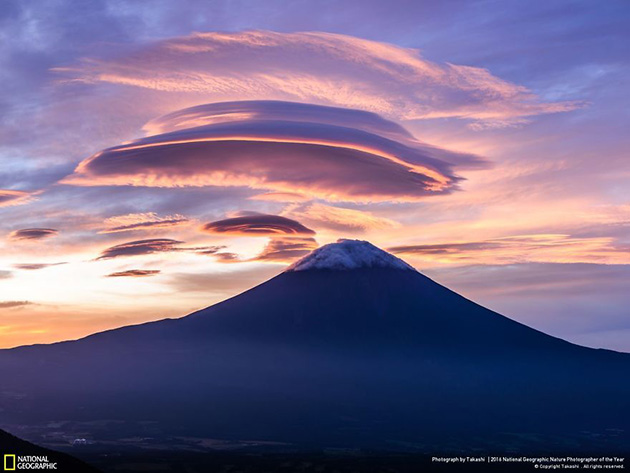 finalists-2016-national-geographic-nature-photographer-31