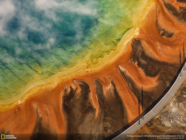 finalists-2016-national-geographic-nature-photographer-34