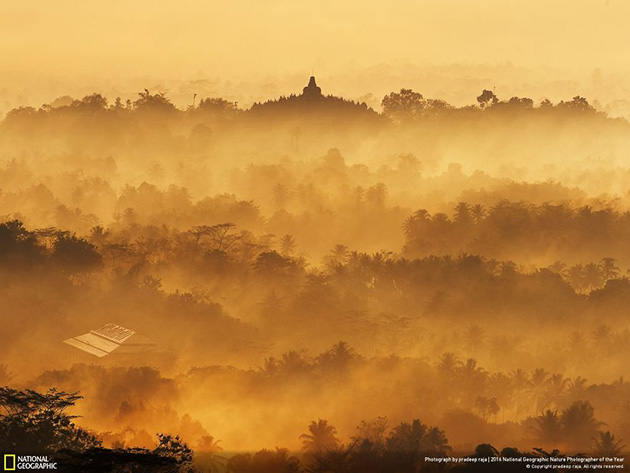 finalists-2016-national-geographic-nature-photographer-36