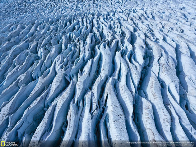 finalists-2016-national-geographic-nature-photographer-39