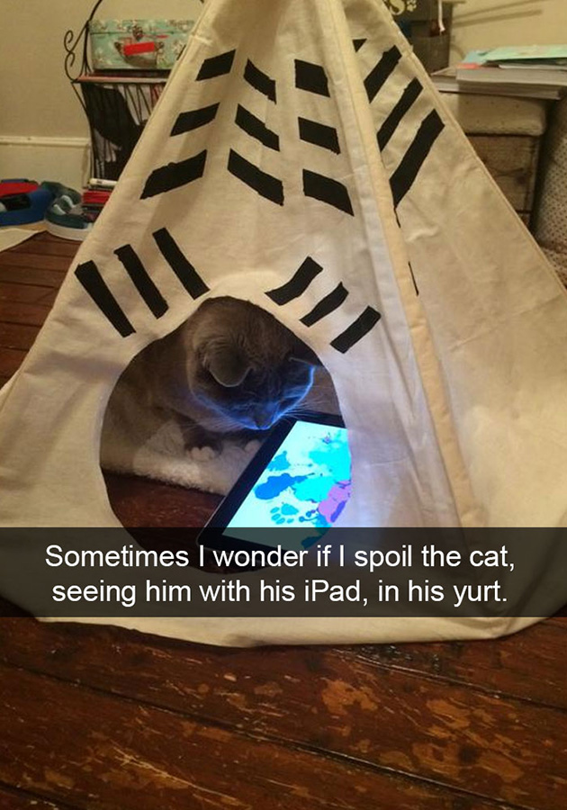 funny-cat-snapchats