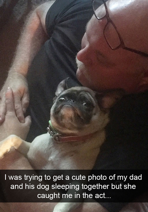 funny-dog-snapchats