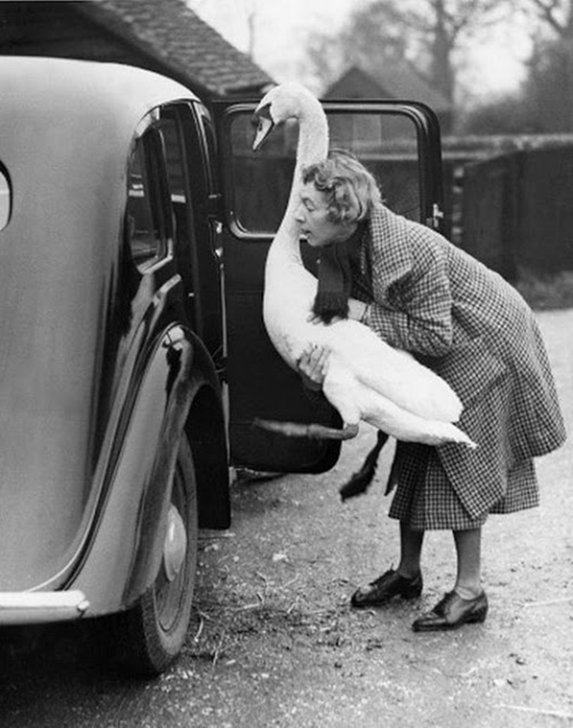 funny vintage photos about women