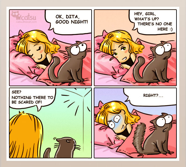 life-with-funny-cats-comics-catsu