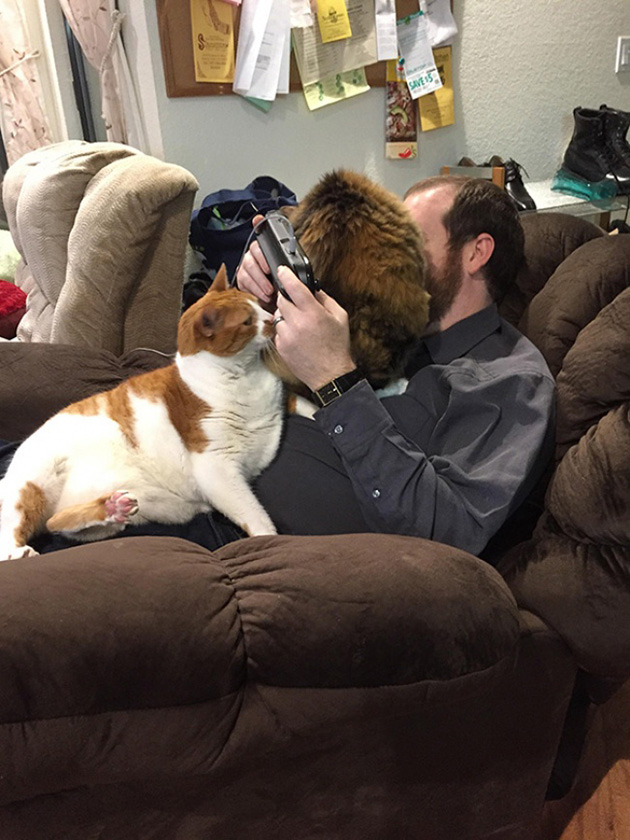 ridiculous cats dont understand personal space