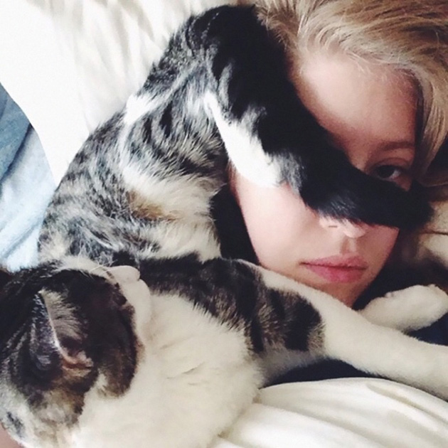 ridiculous cats dont understand personal space
