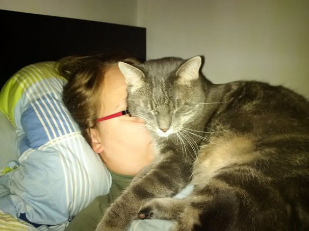 ridiculous cats dont understand personal space