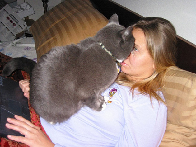 ridiculous cats dont understand personal space