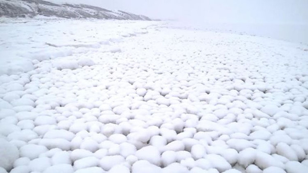 siberia snow balls