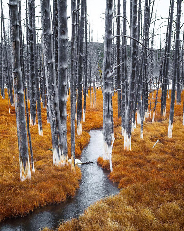 world-utterly-wonderful-place-24