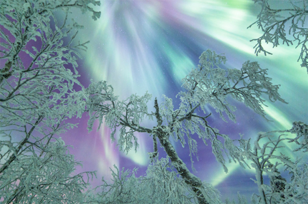Winter in Finland Under the Northern Lights