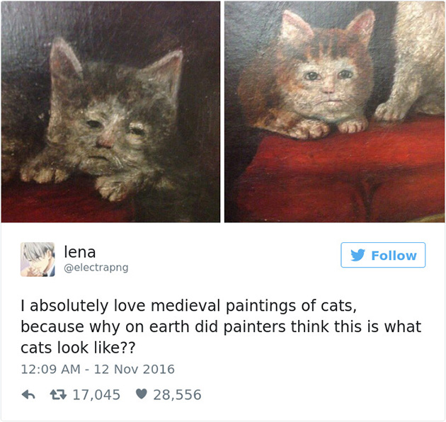 best cat tweets