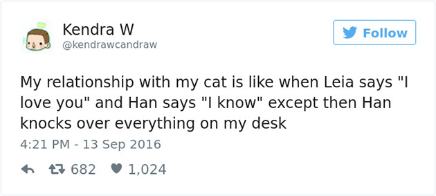 best cat tweets