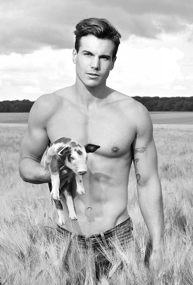 french farmers calendar 2017
