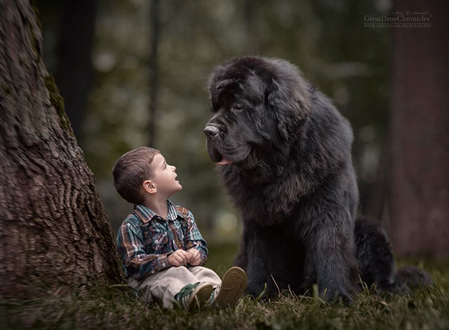 little-kids-big-dogs-photography