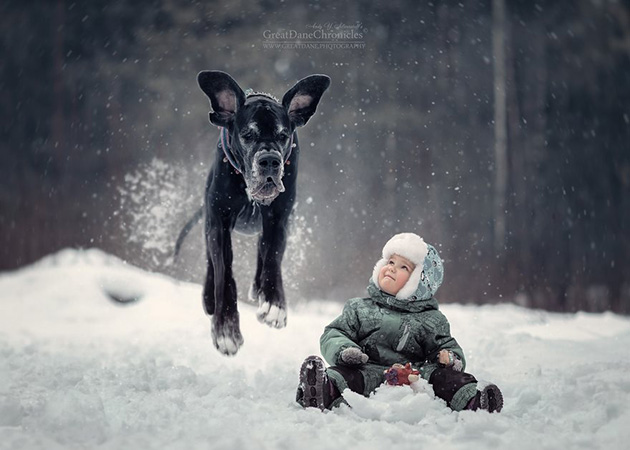 little-kids-big-dogs-photography