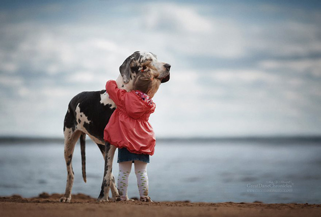 little-kids-big-dogs-photography