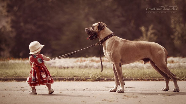 little-kids-big-dogs-photography