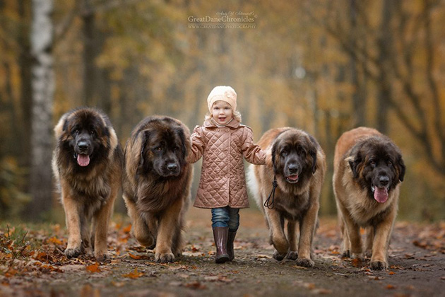 little-kids-big-dogs-photography
