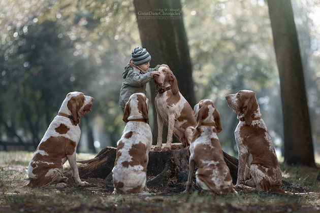 little-kids-big-dogs-photography