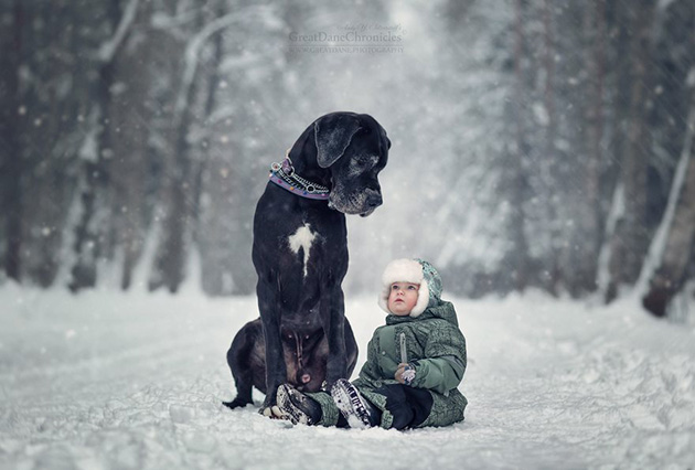little-kids-big-dogs-photography