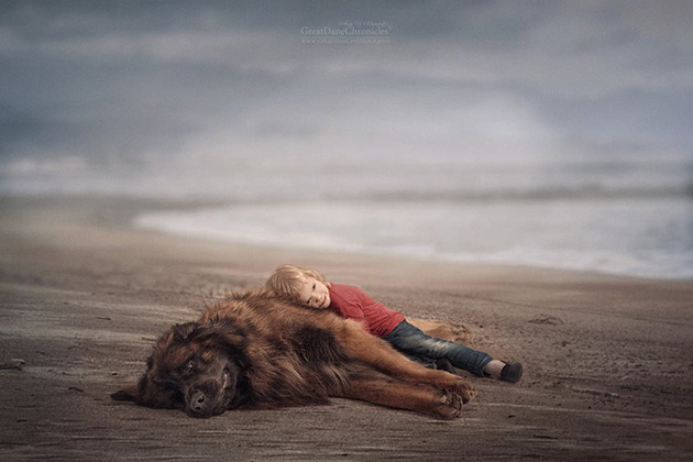 little-kids-big-dogs-photography