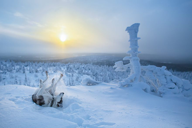 northern lights photography finland