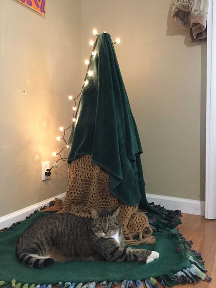 protecting christmas tree from dogs cats pets