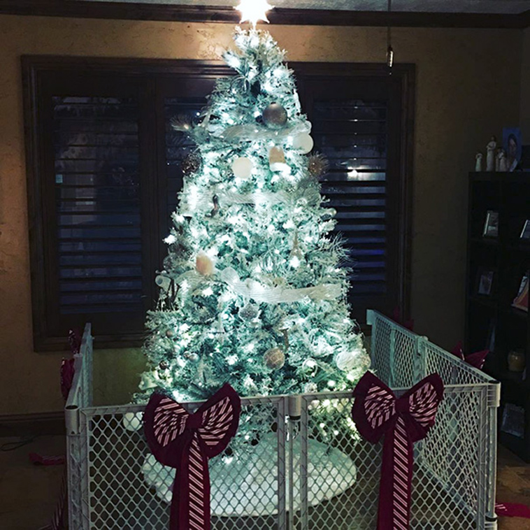 protecting christmas tree from dogs cats pets