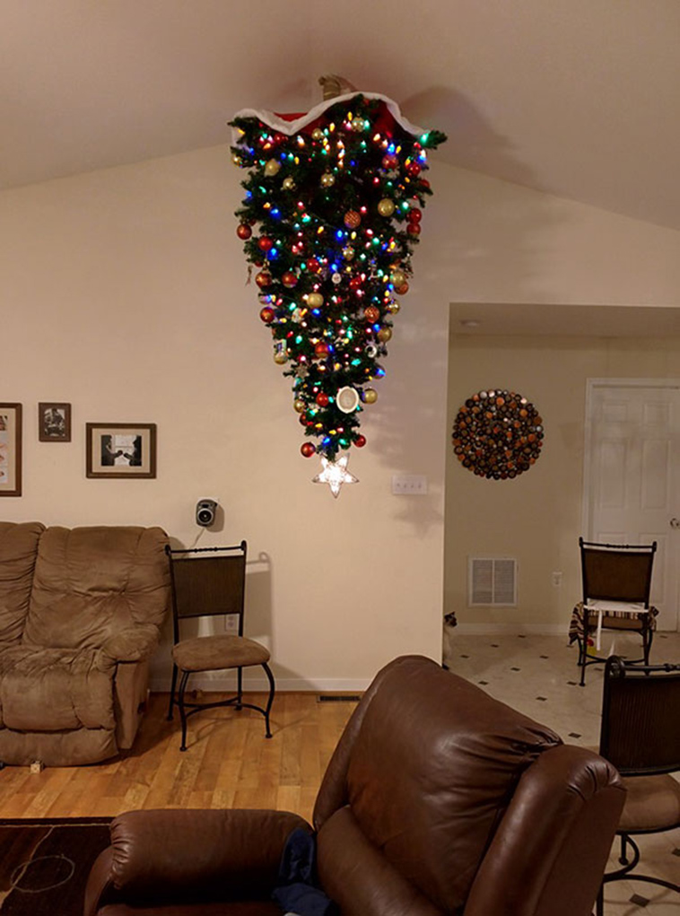 protecting christmas tree from dogs cats pets