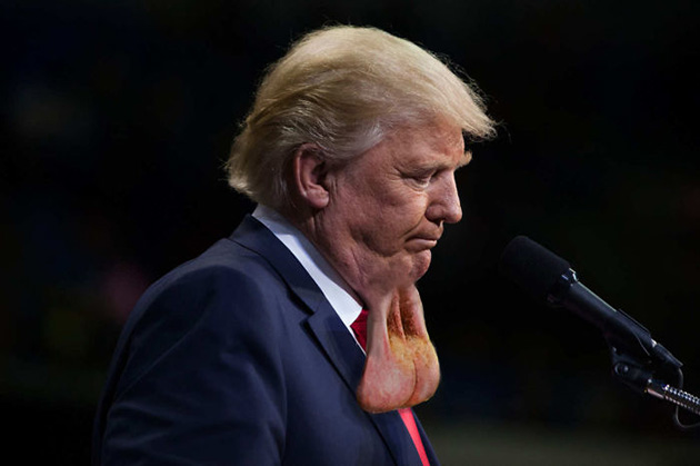 unflattering-donald-trump-chin-photo-ps-battle-13