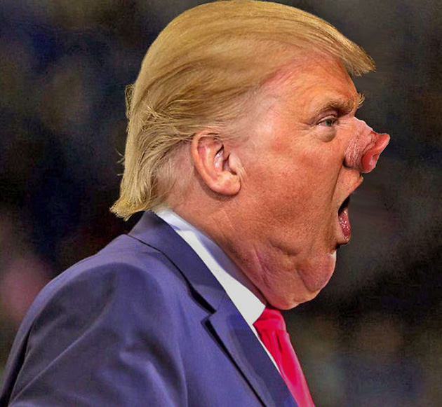 unflattering-donald-trump-chin-photo-ps-battle-14