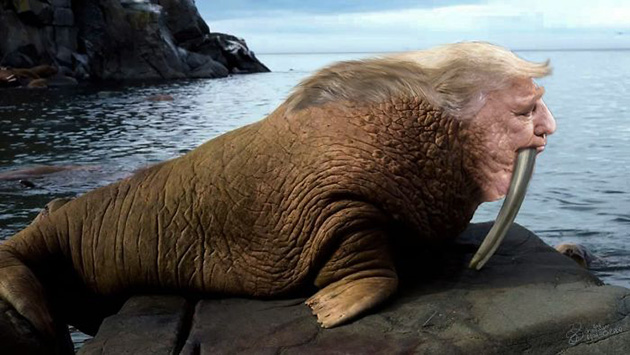 unflattering-donald-trump-chin-photo-ps-battle-19