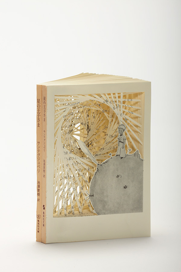Works of Book Art