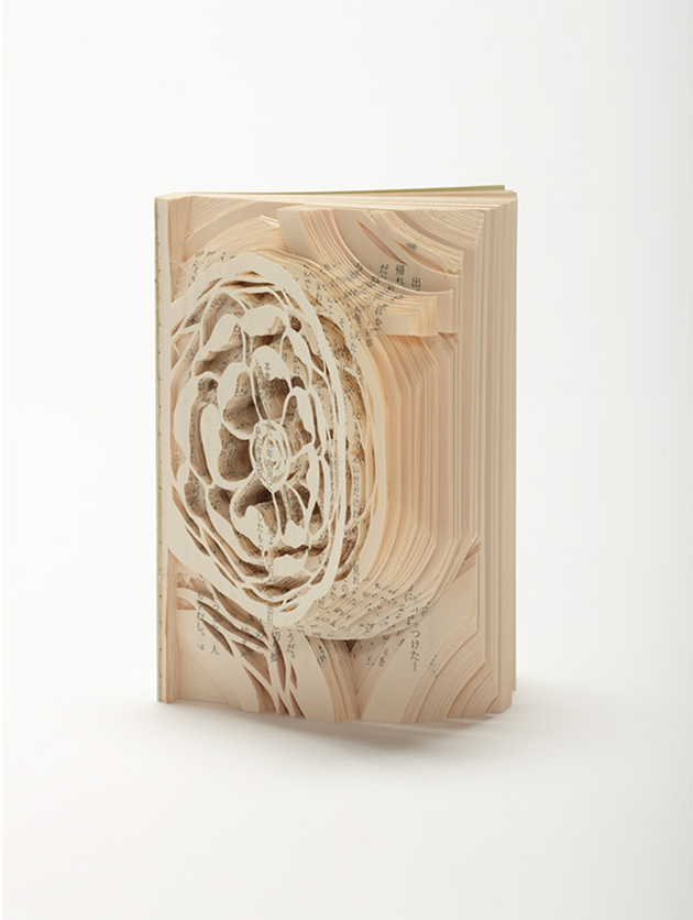 Works of Book Art