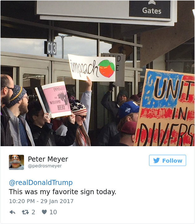 Best Signs From Muslim Ban Protests