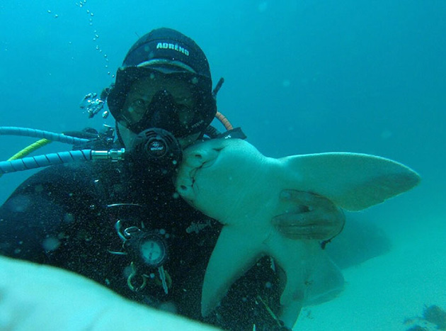 diver cuddles shark
