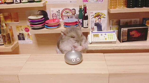 Adorable Hamster Bartenders Serving Tiny Food and Drinks