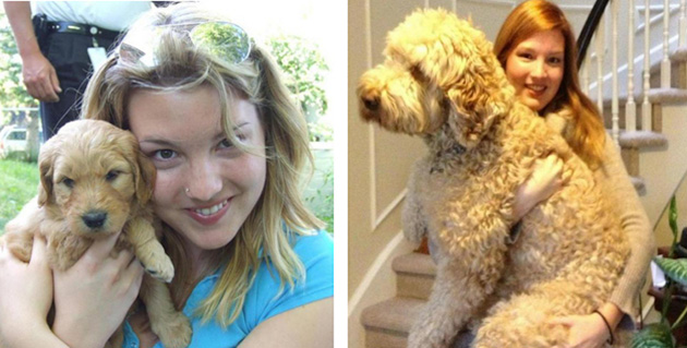 before after puppies