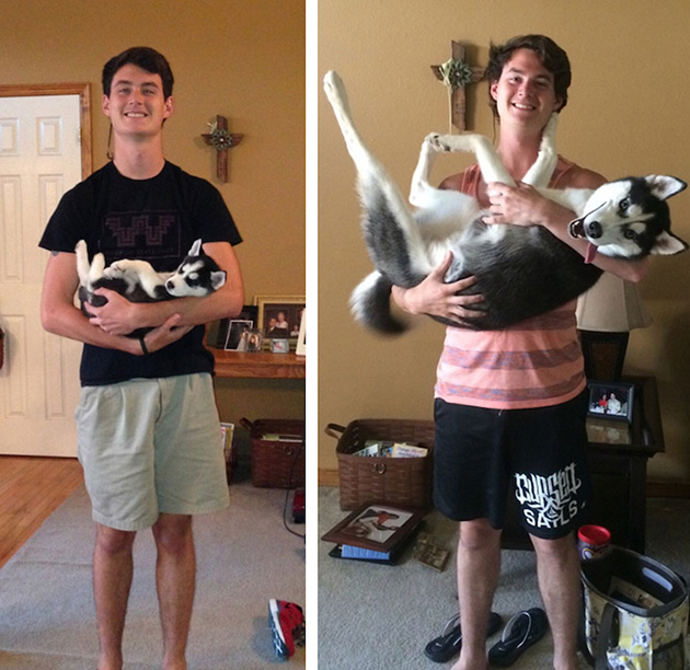 before after puppies
