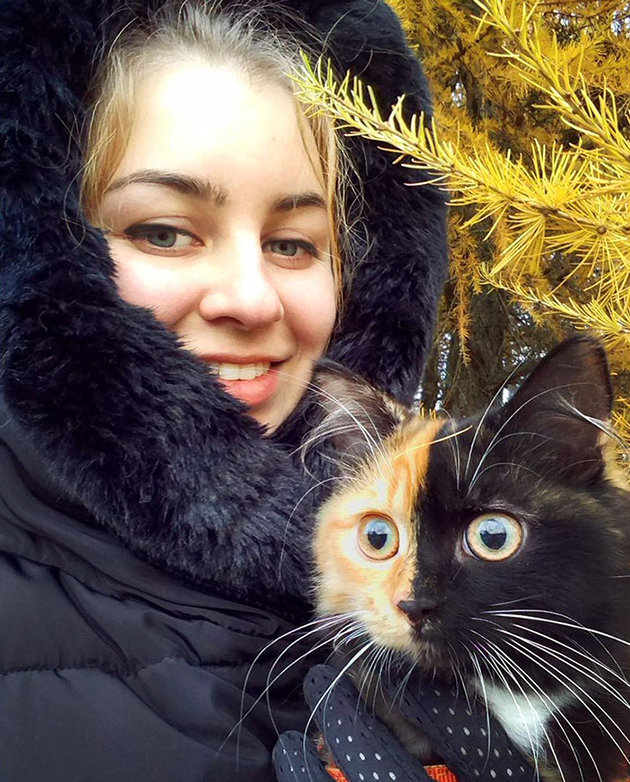 Yana, The Two-Faced Kitty 