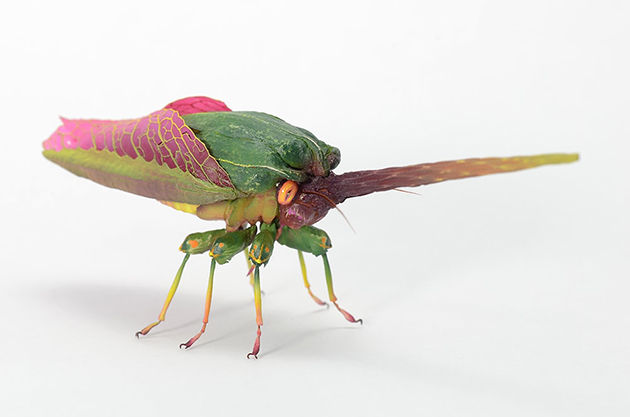 Imaginative Insects Formed From Resin and Brass