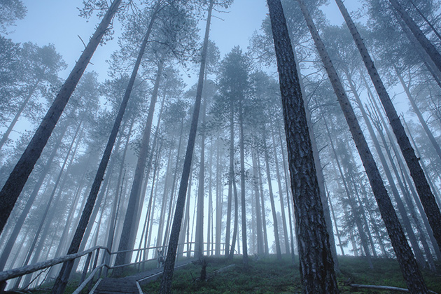 adobe-dreamlike-landscape-photography