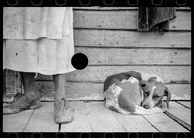 American Great Depression