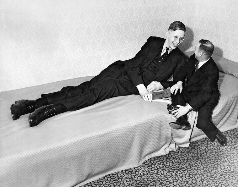tallest person robert wadlow